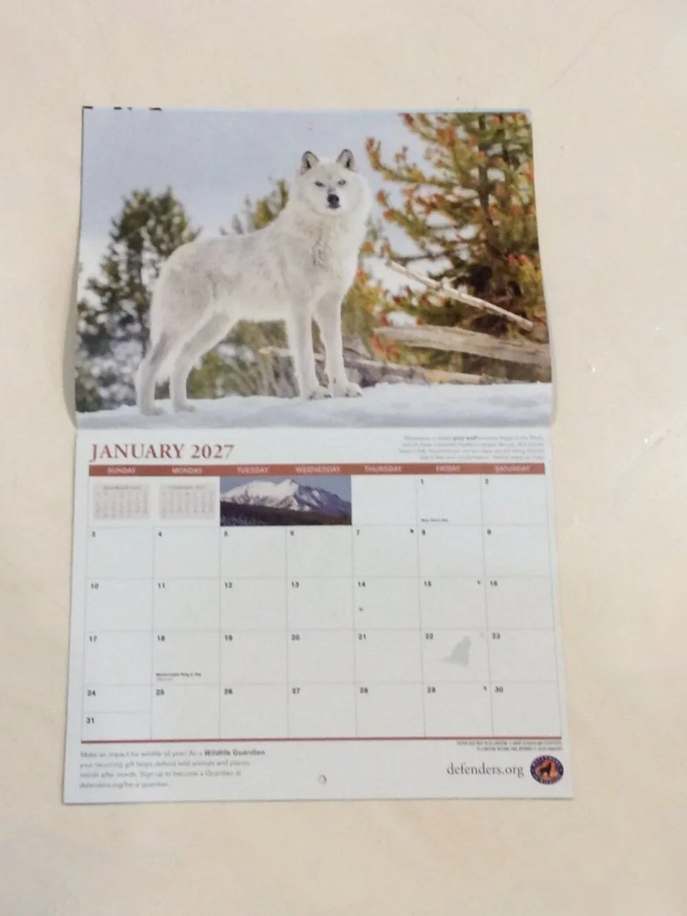 Defenders of Wildlife 2026-2027 Eighteen-Month Calendar